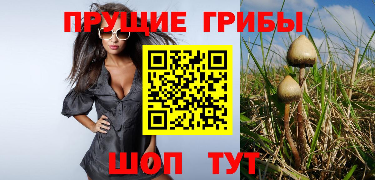 Галлюциногенные грибы Cubensis Горячий Ключ