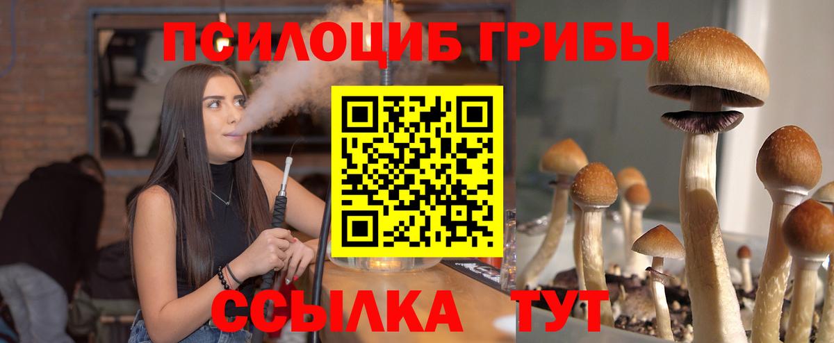 Галлюциногенные грибы Cubensis  Вход с VPN  Горячий Ключ 